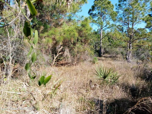 723 Sandpiper Street SW, Palm Bay, FL 32908