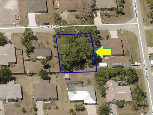 1710 Gagman Street NW, Palm Bay, FL 32907