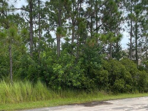 1481 Hero Street SE, Palm Bay, FL 32909