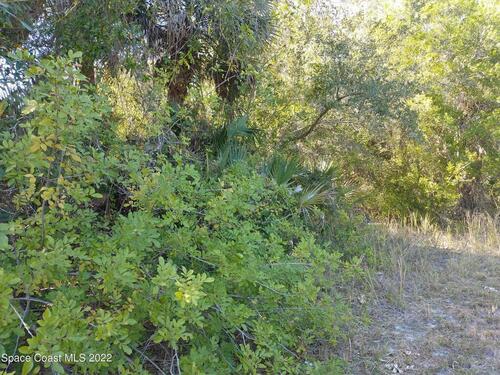 237 Catalonia Avenue NW, Palm Bay, FL 32907