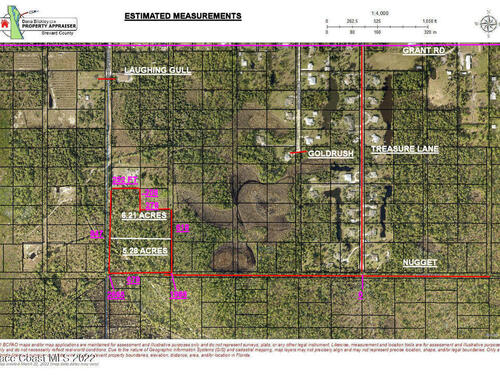 000 Nugget & Laughing Gull, Grant-Valkaria, FL 32949