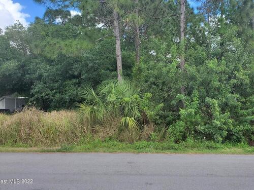 1023 Helena Avenue NW, Palm Bay, FL 32907