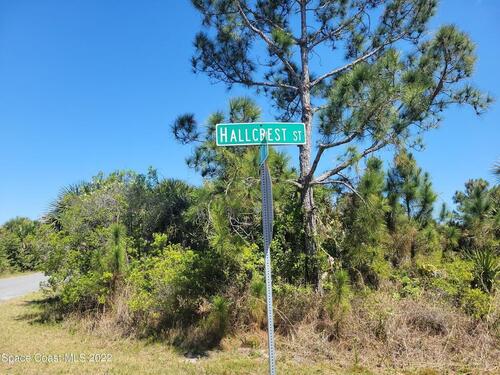 499 Hallcrest Street SW, Palm Bay, FL 32908