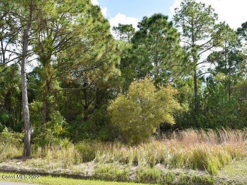 700 Avalon Street SE, Palm Bay, FL 32909