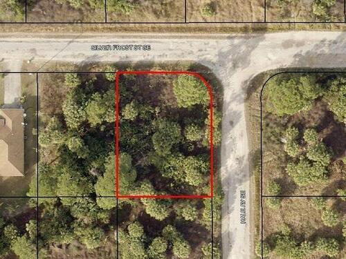 242 Silver Frost (Corner Of Hale) Street SE, Palm Bay, FL 32909