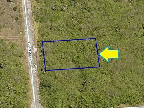 1991 Cormorant Avenue SW, Palm Bay, FL 32908