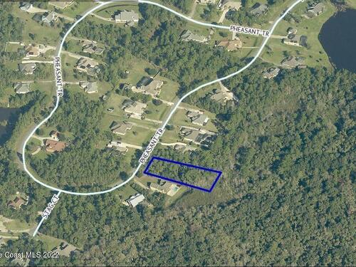 3227 Pheasant Trail, Mims, FL 32754