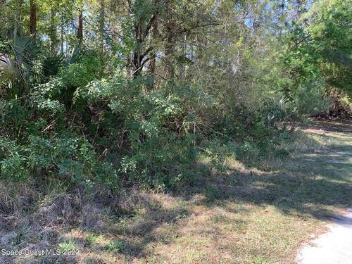 1192 Nordic Street NW, Palm Bay, FL 32907