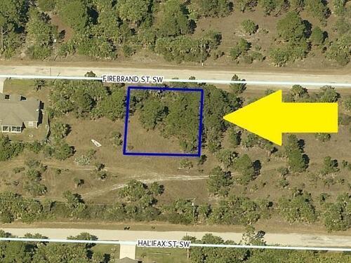 534 Firebrand Street SW, Palm Bay, FL 32908