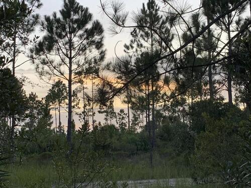 D Johnson, Mims, FL 32754