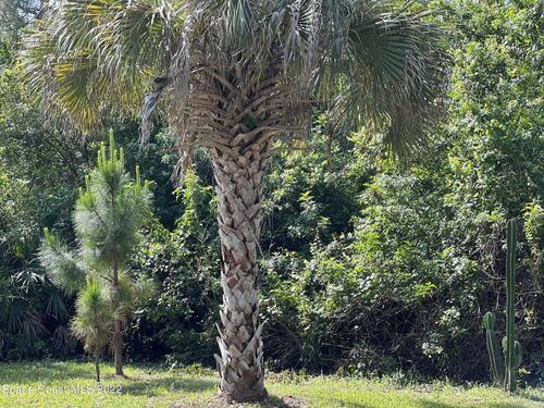 440 Halloran Street SE, Palm Bay, FL 32909