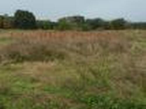 0000 Huntington Avenue, Mims, FL 32754