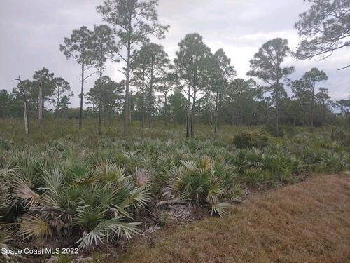 000 Everald Ave. A/K/A Tracta-17, Grant-Valkaria, FL 32909