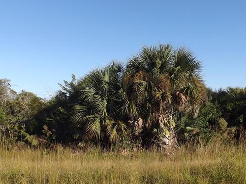 7 Deer Court, Palm Bay, FL 32909