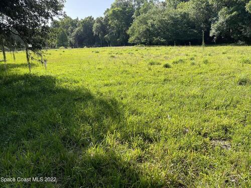 0000 Turpentine Road, Mims, FL 32754