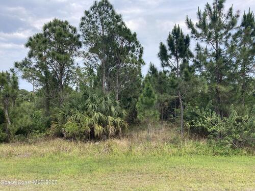 7041 Artesia Avenue, Grant, FL 32949