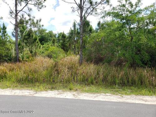 2945 Tishman Road SE, Palm Bay, FL 32909