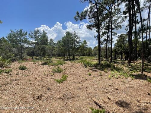 4585 Grant Road, Grant, FL 32949