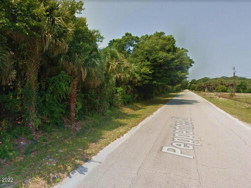 4185 Peppertree Street, Cocoa, FL 32926