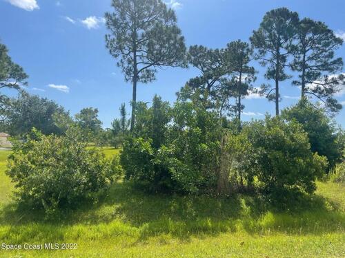 Tbd #2 Macdonald Lane, Malabar, FL 32950