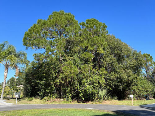 2404 Swan Court SE, Palm Bay, FL 32909