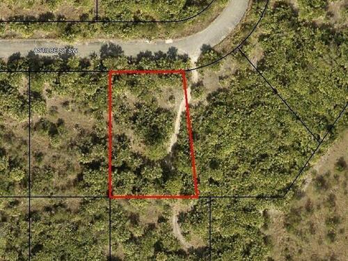 910 Astilbe Street SW, Palm Bay, FL 32908