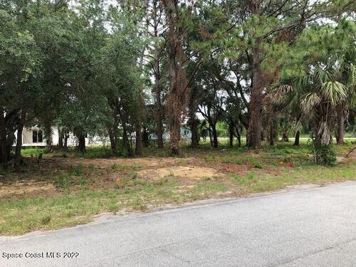 901 Pyracantha Street NW, Palm Bay, FL 32907