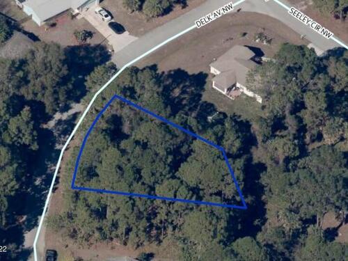 159 Delk Avenue NW, Palm Bay, FL 32907