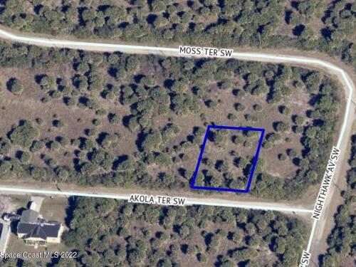 615 Akola Terrace, Palm Bay, FL 32908