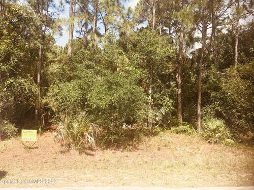 300 Trenton Avenue SW, Palm Bay, FL 32908