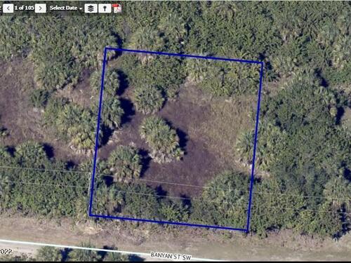 811 Banyan Street SW, Palm Bay, FL 32908