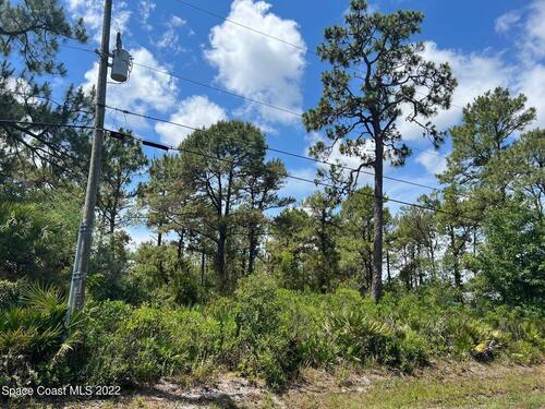 Oneida Street, Cocoa, FL 32926