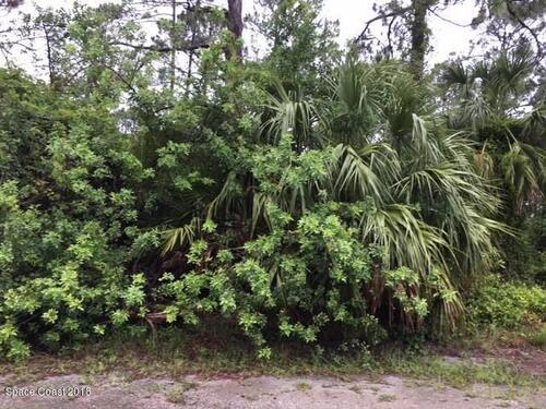 1651 Saladino Street SE, Palm Bay, FL 32909