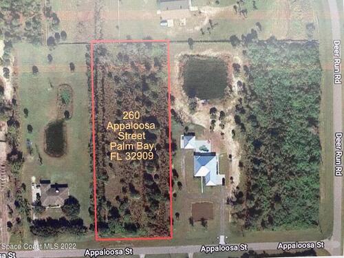 260 Appaloosa Street, Palm Bay, FL 32909