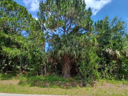 1482 Hayworth Circle NW, Palm Bay, FL 32907