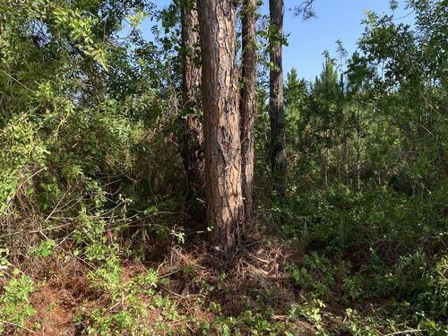 1391 Valencia Street SE, Palm Bay, FL 32909