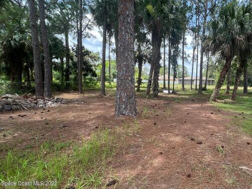 Lot 16 Tindal Street SW, Palm Bay, FL 32908