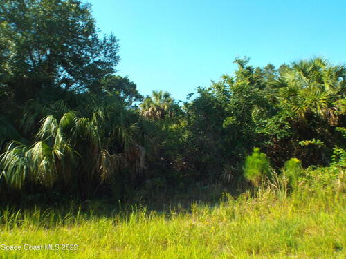 562 Scarsdale Street SW, Palm Bay, FL 32908