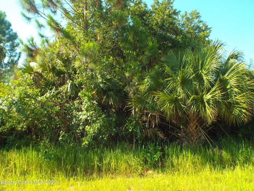 550 Scarsdale Street SW, Palm Bay, FL 32908