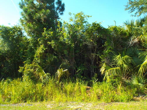 538 Scarsdale Street SW, Palm Bay, FL 32908