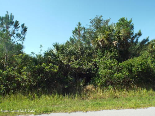 574 Scarsdale Street SW, Palm Bay, FL 32908