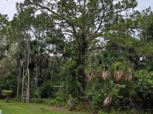 760 Bryant Road SW, Palm Bay, FL 32908