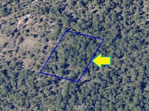 0000 No Access W Of Fortuna Avenue, Grant-Valkaria, FL 32950