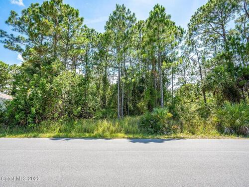 580 Plumbago Road NW, Palm Bay, FL 32907