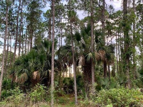 262 Olin Road SW, Palm Bay, FL 32908