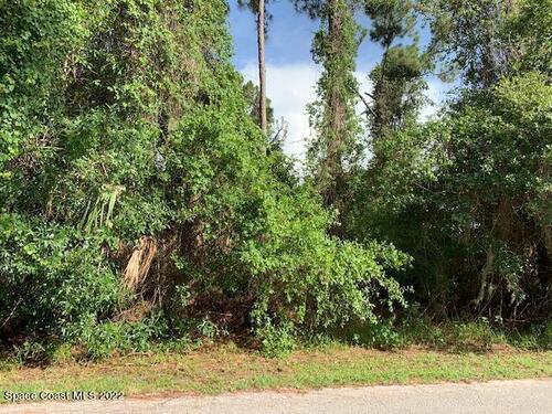 1350 Rascal Street SE, Palm Bay, FL 32909