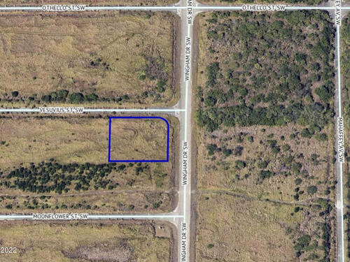 Tbd 0.34 Ac @ Vesuvius & Wingham, Palm Bay, FL 32908