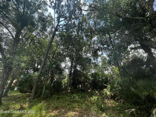 1634 Saint Street SE, Palm Bay, FL 32909