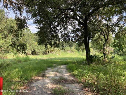 0000 Soggy Bottom Avenue, Cocoa, FL 32926