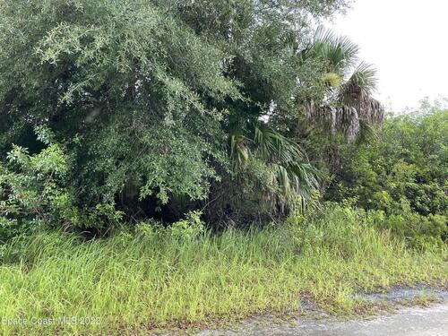 Perkins Street SW, Palm Bay, FL 32908